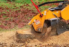 Best Emergency Tree Removal  in Dunnigan, CA