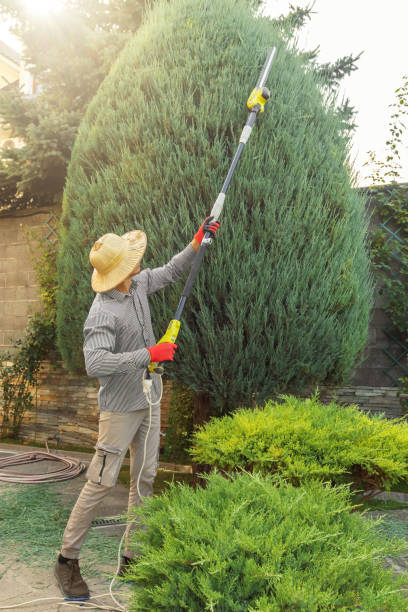 Best Soil Testing and Treatment  in Dunnigan, CA